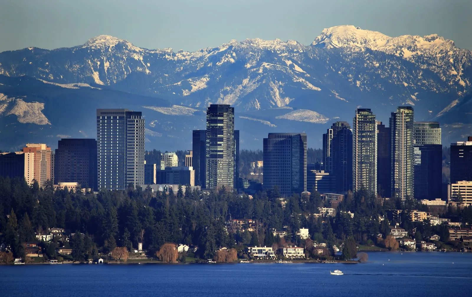 Making moves fast, simple, and stress-free for families and businesses in Bellevue, WA